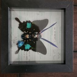 Original Art By San Francisco Artist Paul Montwillo