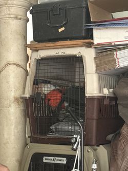 Dog Kennel crate