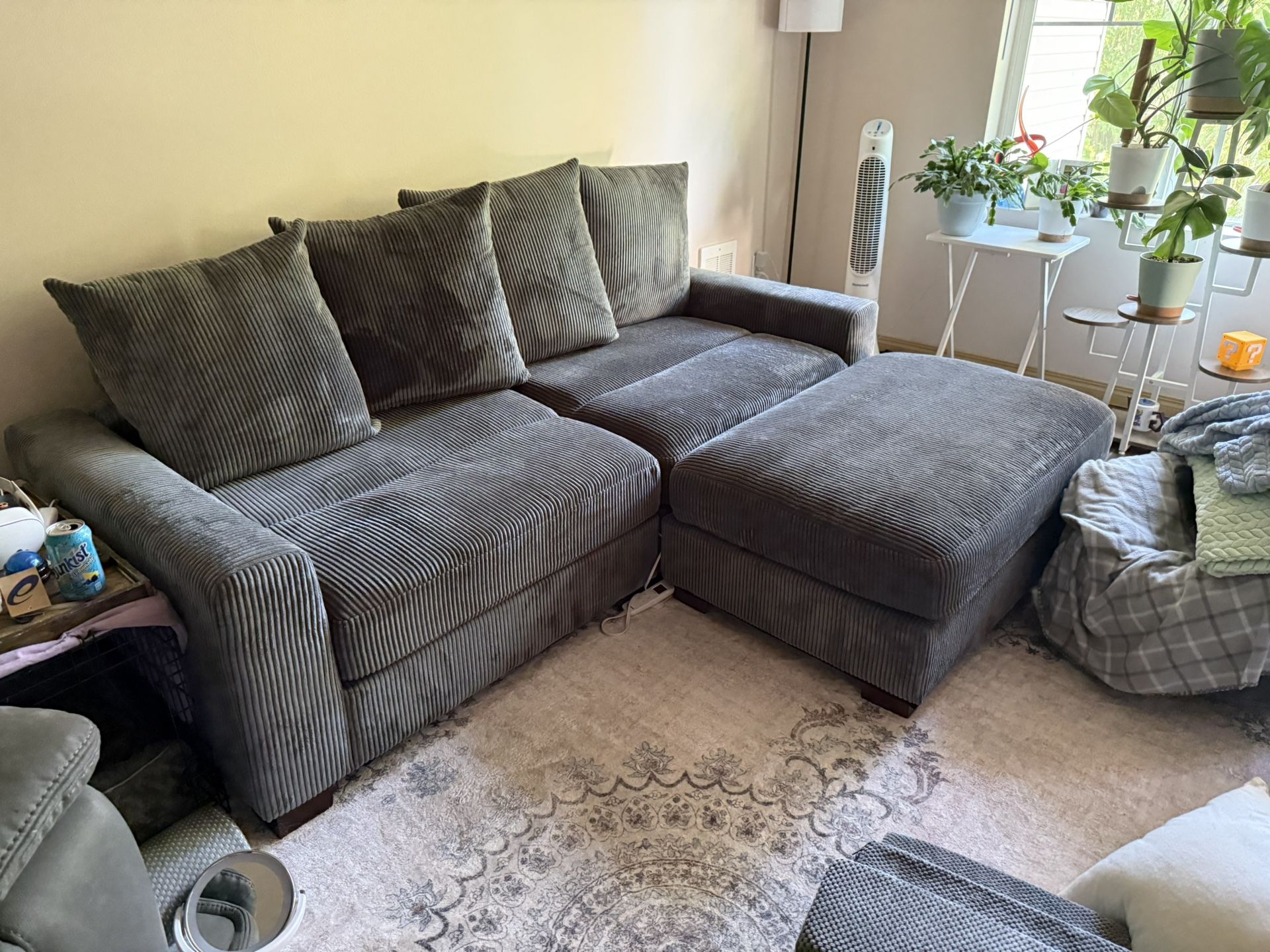 Wayfair Couch