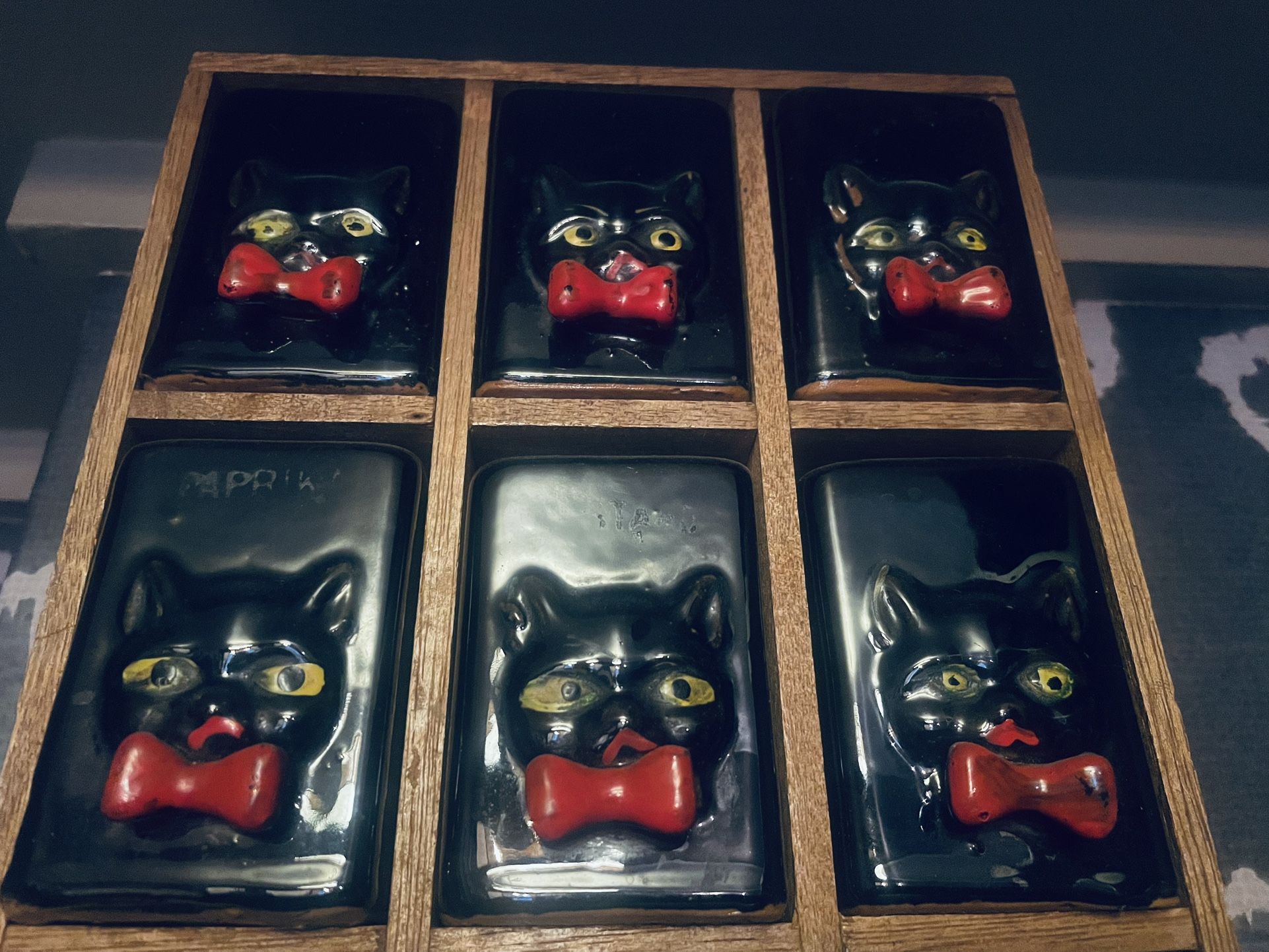 Shafford black cat spice set. With Wooden Box