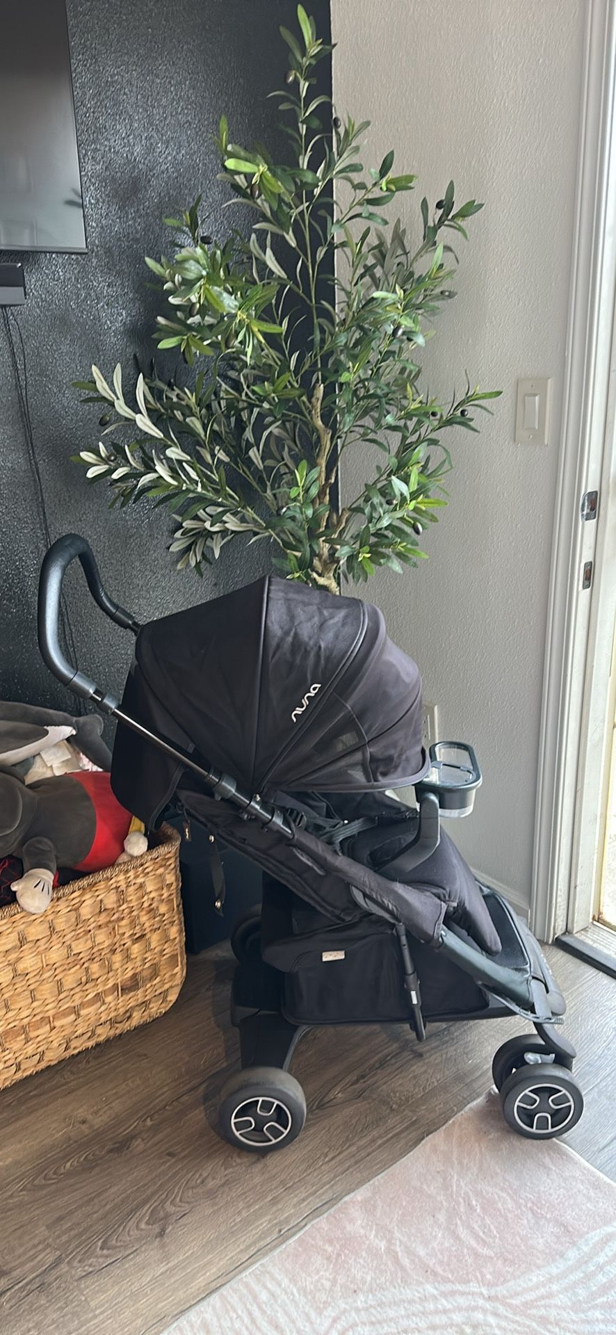Nuna Stroller