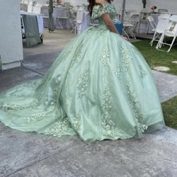 Quinceanera dress sage green