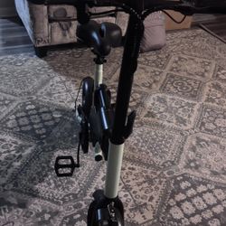 Jasion Electric Bike 