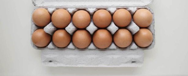 Eggs Cage Free Organic Home Grown Chickens