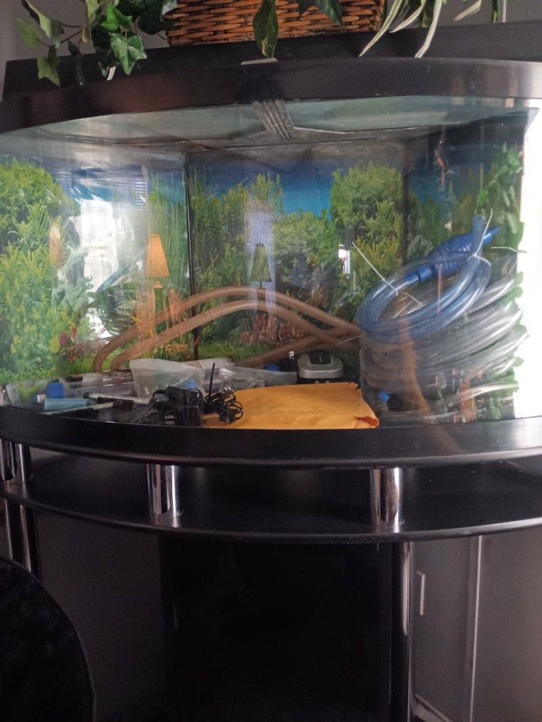 65 Gallon Fish Tank