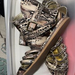 Woman Shoes Different Brands