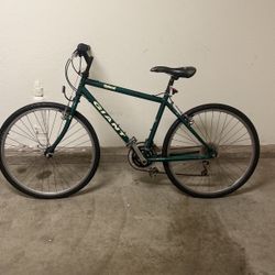 Upland Giant (green)