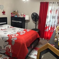 Hola A Ordenar El Tuyo  Muy Bonitos Colores 24 Piesas 