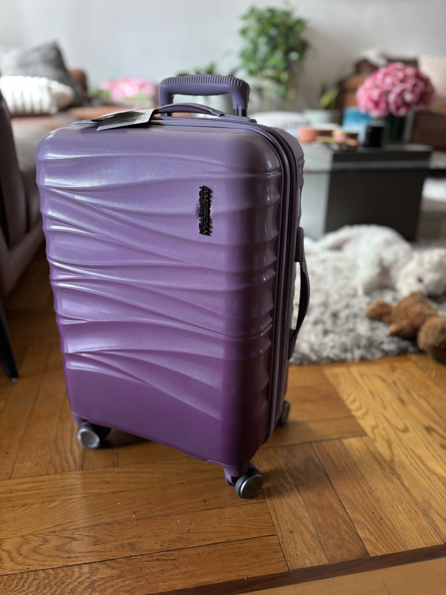 American Tourister (Carry On 20 Inch)