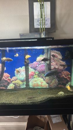 Fish tank