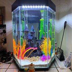 Fish Tank 20 Gallons 
