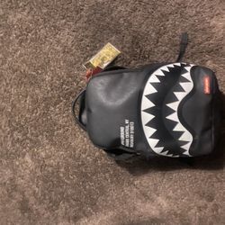 Spary Ground Backpack