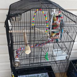 birds cage 