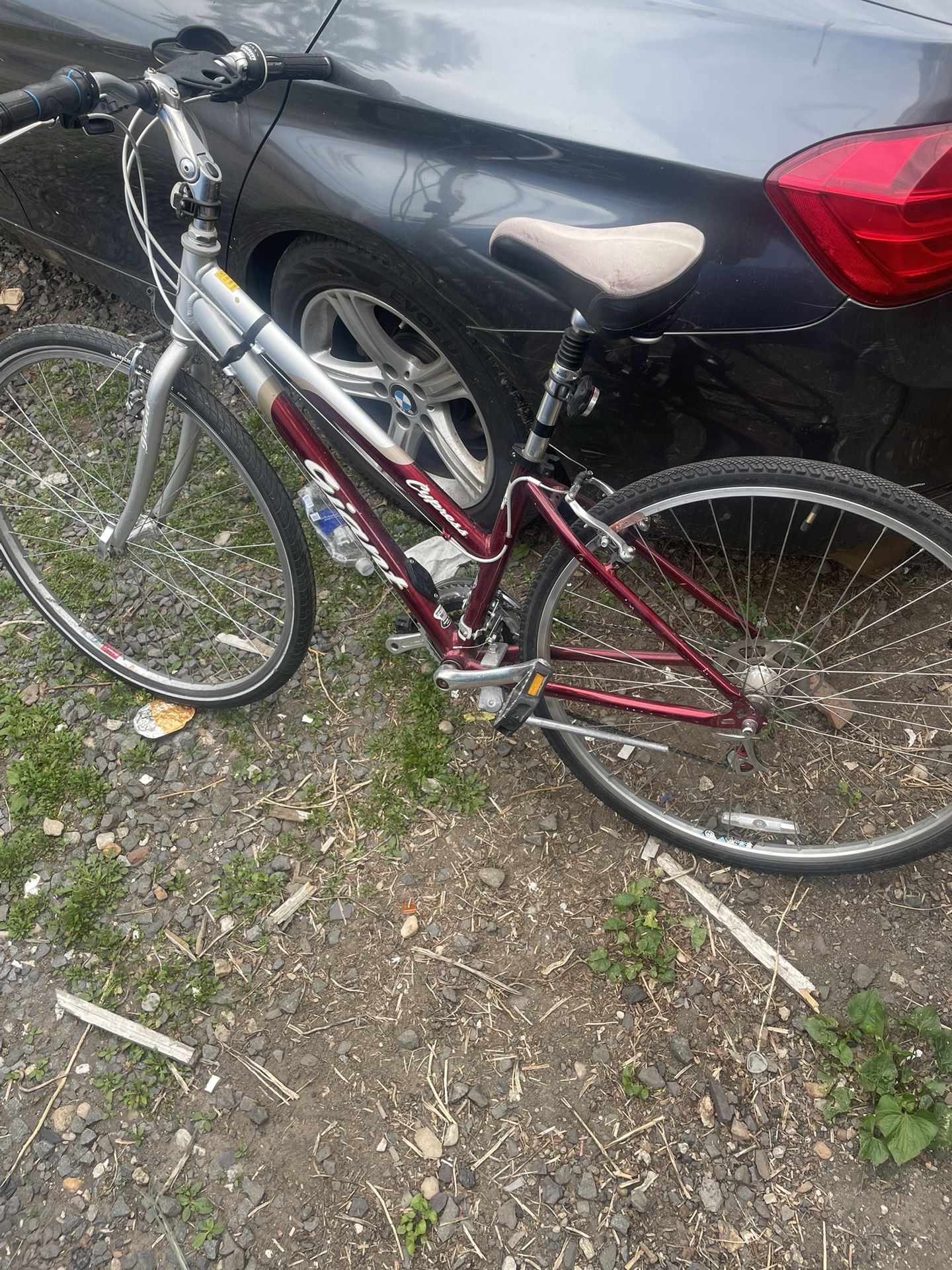 Giant Bike
