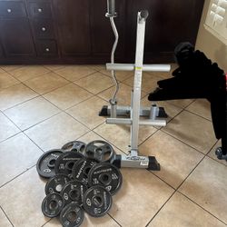 Heavy duty Tuff stuff weights tree plus curl bar and 85lbs of Olympic weights