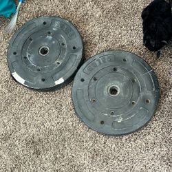 100 Pounds In Total 25 pound dumbbells 25 pound 1 inch bench plate