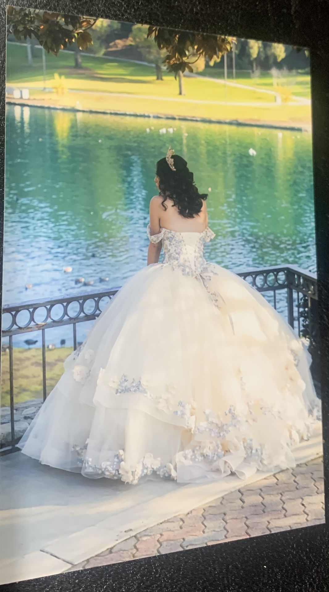 Quinceañera Dress