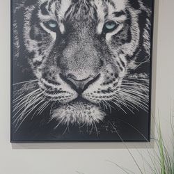 TIGER FRAME