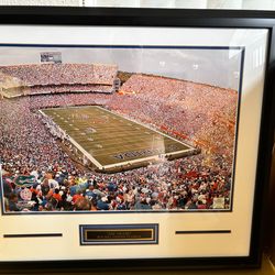 Official License Collectible Photo “The Swamp” Ben Hill Griffin Stadium( Home of the Florida Gators)