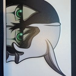 Car stickers indoor and outdoor 