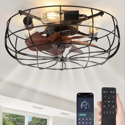 Lediary 20in Caged Ceiling Fan Black With Woodgrain Blades Lights N Remote 6speed Reverse Timer New 