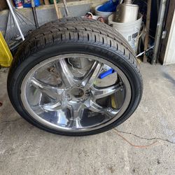 20 Size