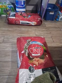 Dog food