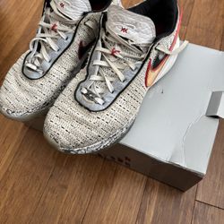 Nike LeBron XX Size 11