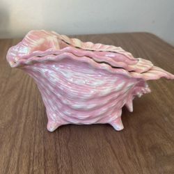 AFRICAN VIOLET SEASHELL POT