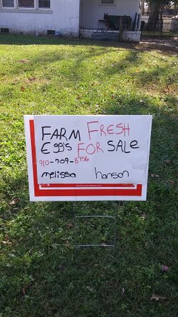 Farm fresh eggs for sale