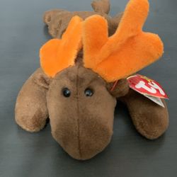 1993 RARE Chocolate Beanie Baby