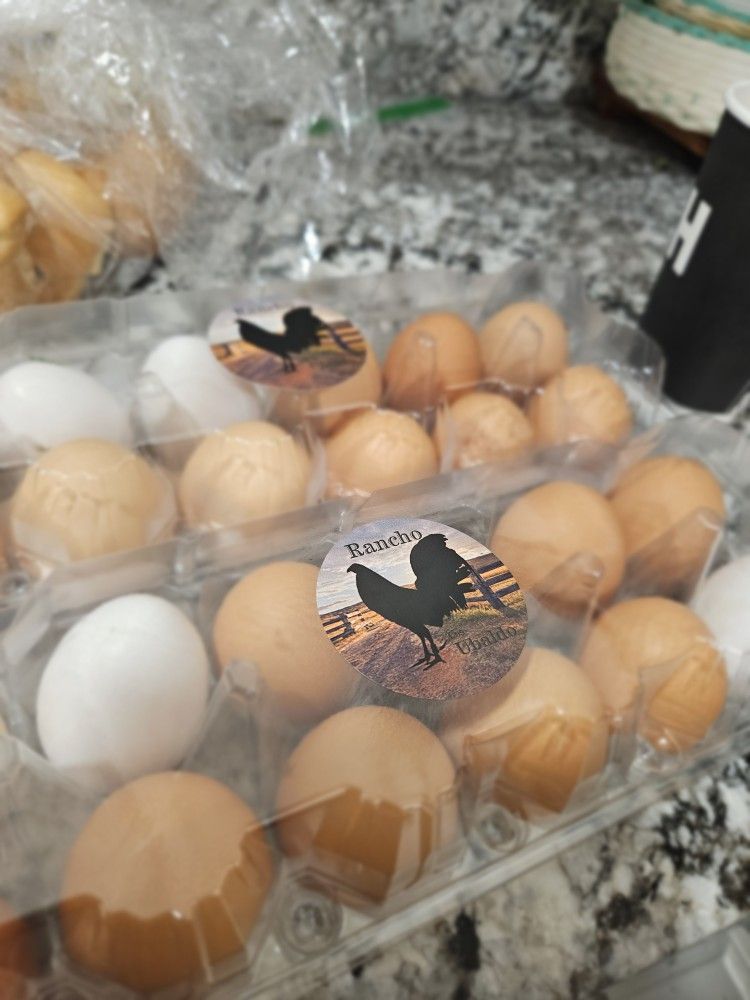 Fresh Farm Eggs