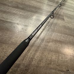 Californian Tri Helix  New 7’6 ML 12-30 Salt Water Fishing Rod. 
