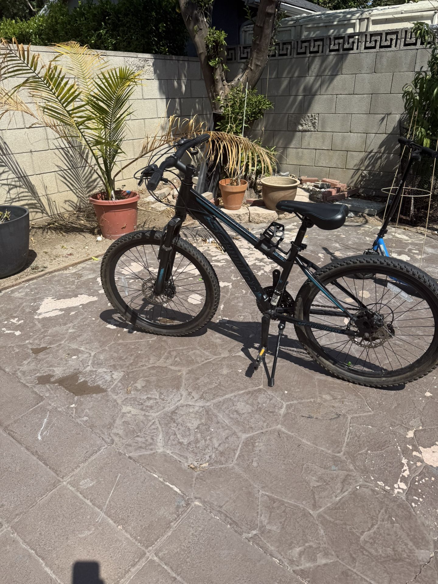 Schwinn Pedal Bike