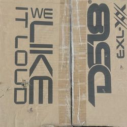12-inch DS18 Sub And Amrp