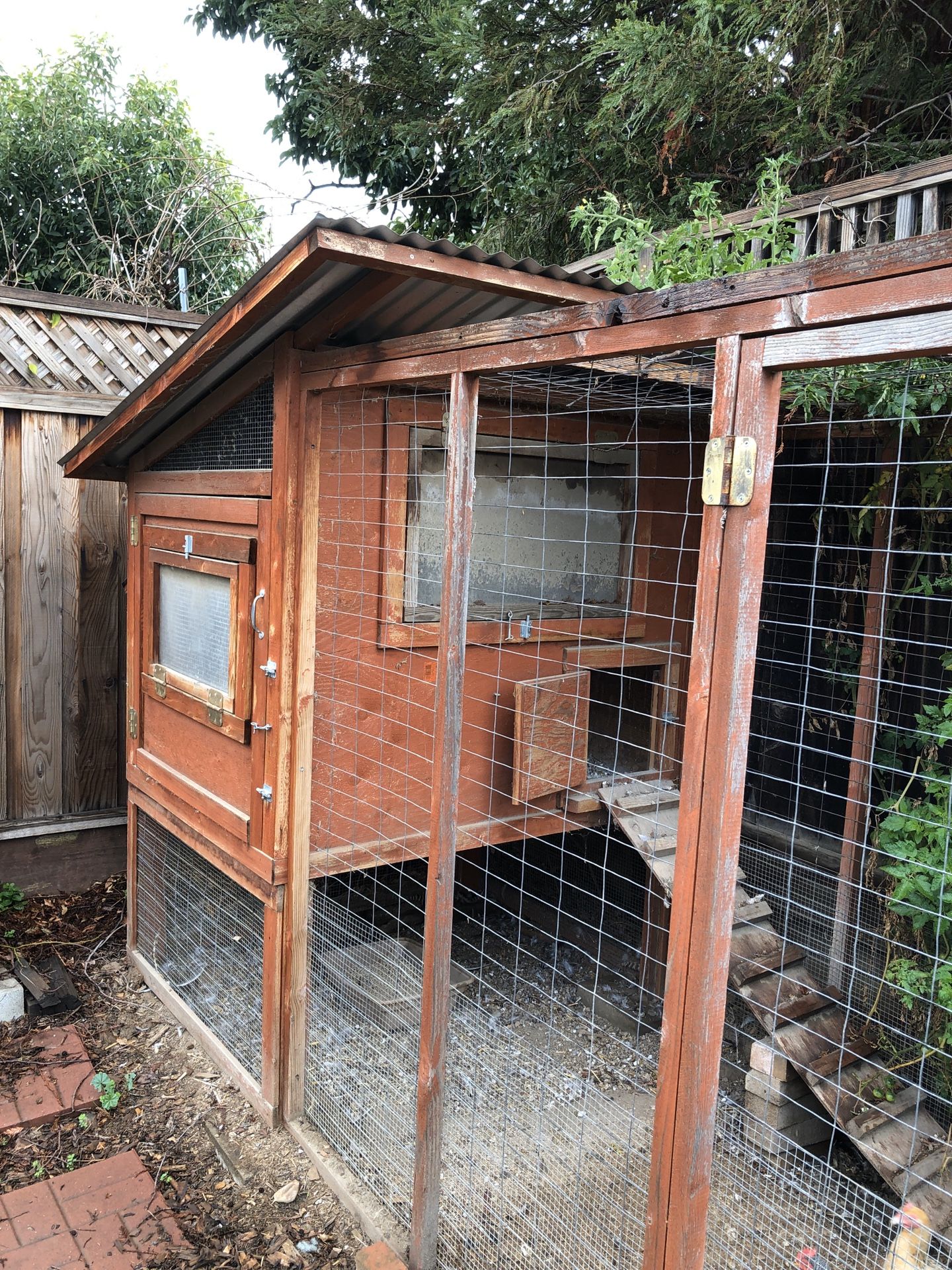 Chicken coop with chickens and supplies
