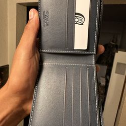 Goyard Wallet 