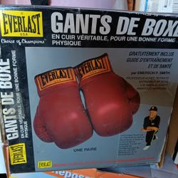 Everlast Boxing Gloves 