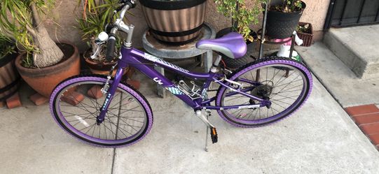 Liv 24 inch bike