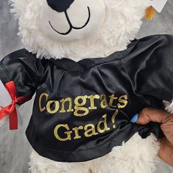 Graduation Teddy's 