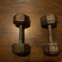 20 lb dumbbell’s 