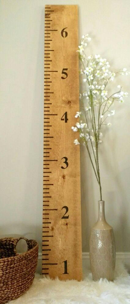 Giant Ruler Growth Chart For In Virginia Beach Va Offerup Giant Ruler Growth Chart
