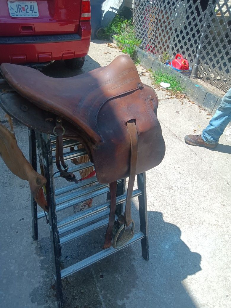 Horse Saddle