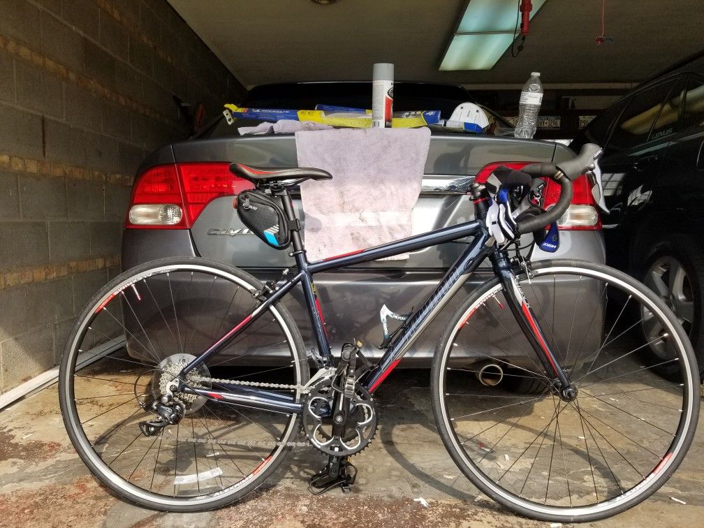 Schwinn Fastback Road Bike