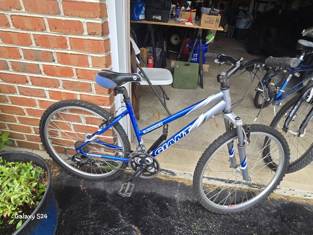 Boulder Adult Bicycle