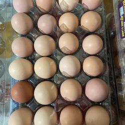 FRESH EGGS FOR SALE