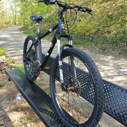 2007 17.5" IronHorse Quantum II Aluminum 24 Speed Mountain Bike 