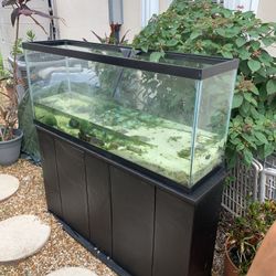 55 Gallon Fish Tank Complete Set And Stand