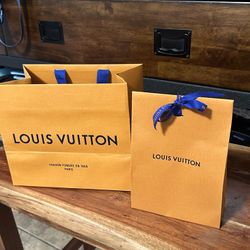 Louis Vuitton Empty Bags