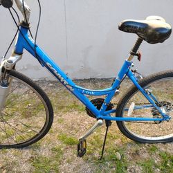 Schwinn 6 Speed